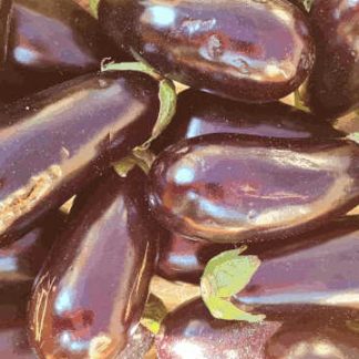 AB Aubergines