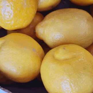 AB Citrons Jaunes