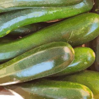 AB Courgettes