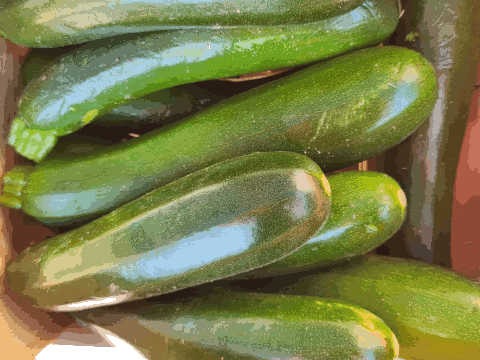 AB Courgettes