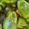 AB Poivrons Verts