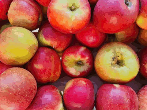 AB Pommes Elstar