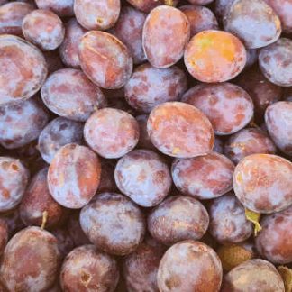 AB Prunes Président