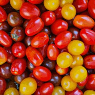 AB Tomates Cerises