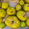 AB Tomates Vertes Zebra