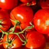 AB Tomates Grappes