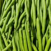 AB Haricots Verts