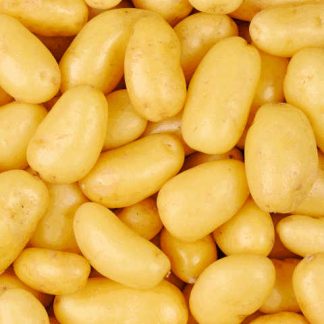 AB Pommes de terre Delicatess