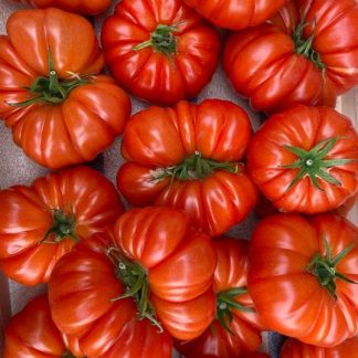 AB Tomates Marmande