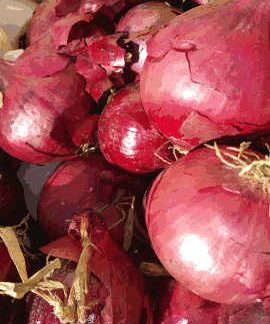 AB Oignons Rouges