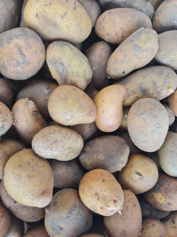 AB Pommes de terre Charlotte