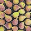 AB Figues Noires