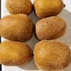 AB Kiwis Hayward