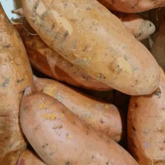AB Patate Douce