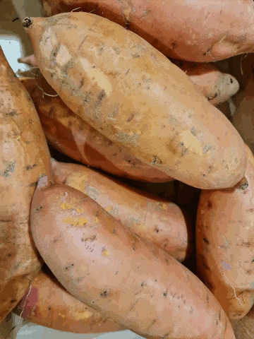 AB Patate Douce