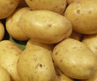 AB Pommes de terre Mona Lisa