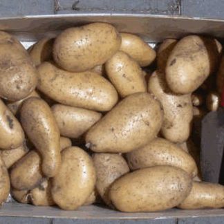AB Pommes de terre Grenailles