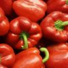 AB Poivrons Rouges