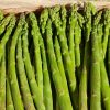 Asperges Vertes Fines (Calibre 12/16)